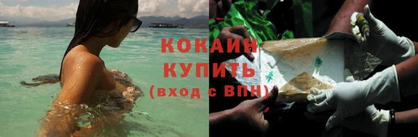 трава Волоколамск